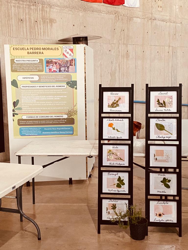 c369dd84-81b3-4b7f-9b89-95dc2ce786a1